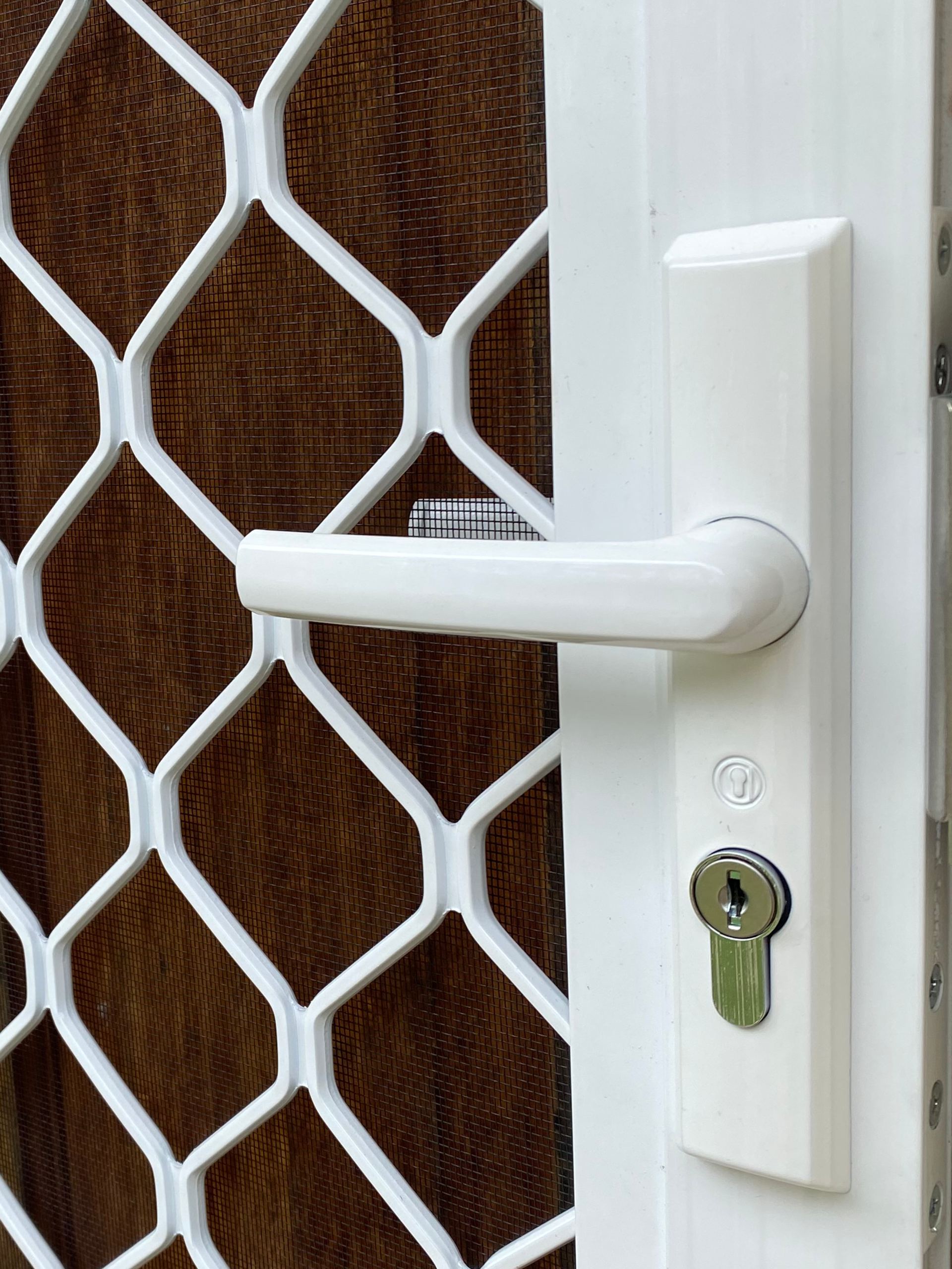 Security grill and mesh door on front entrance installed by Olsen Security 